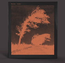 Desolate: Actaeon (12-Inch Single)