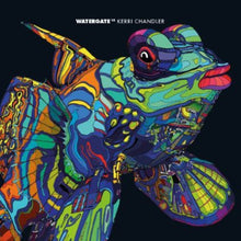 Kaden, Mathias: Fin (12-Inch Single)