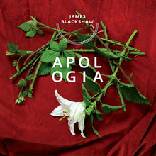 James Blackshaw: Apologia (Vinyl LP)