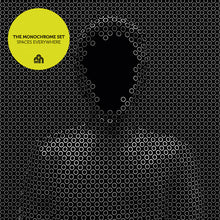 The Monochrome Set: Spaces Everywhere (Vinyl LP)