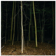 Express Rising: Fixed Rope Ii (Vinyl LP)