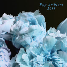 Pop Ambient 2018 / Various: Pop Ambient 2018 (Various Artists) (Vinyl LP)