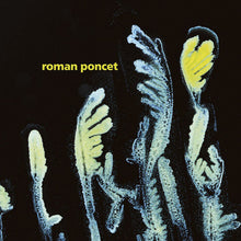 Roman Poncet: Gypsophila (12-Inch Single)