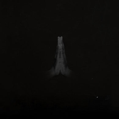 Untitled (Rise)by Sault (Vinyl Record)