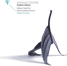 Dvorak / Herreweghe / Antwerp Sym Orch: Stabat Mater (Vinyl LP)