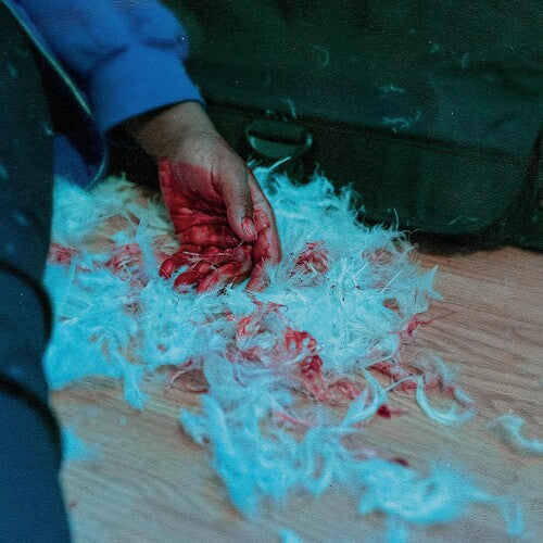 Dear Lemon House, You Ruined Me: Senior Yearby Kaonashi (Vinyl Record)