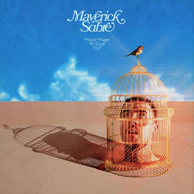 Don't Forget To Look Upby Maverick Sabre (Vinyl Record)