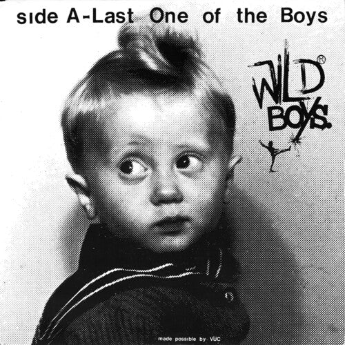 Wild Boys - Last One Of The Boys / We're Only Monstersby Wild Ones (Vinyl Record)