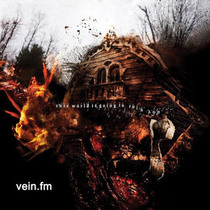 This World Is Going To Ruin Youby Vein.Fm (Vinyl Record)