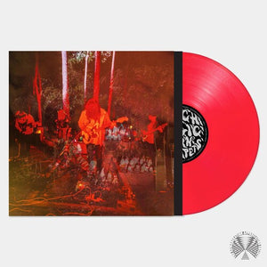 Levitation Sessionsby Psychedelic Porn Crumpets (Vinyl Record)