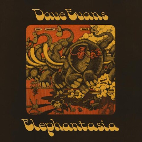 Elephantasiaby Evans, Dave (Vinyl Record)