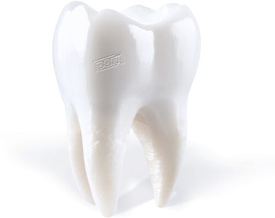 Teethingby Porij (Vinyl Record)