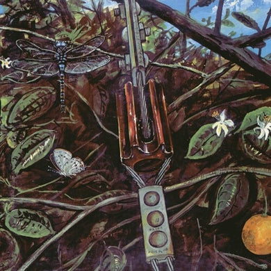 Dragonflyby Dragonfly (Vinyl Record)