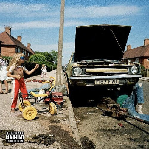 Daffodils & Dirtby Morton, Sam (Vinyl Record)