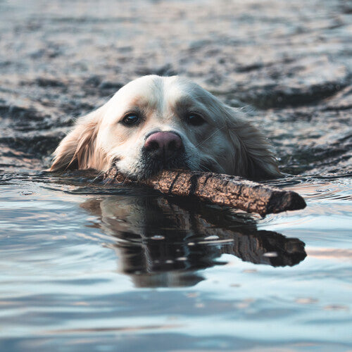 The Chateauby Orebolo (Vinyl Record)