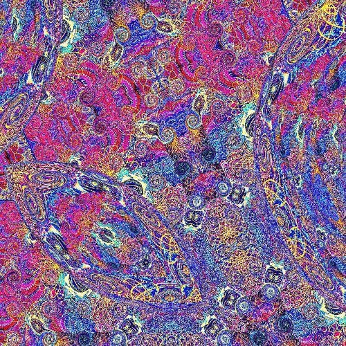 Placentaby Nino, Carlos & Friends (Vinyl Record)