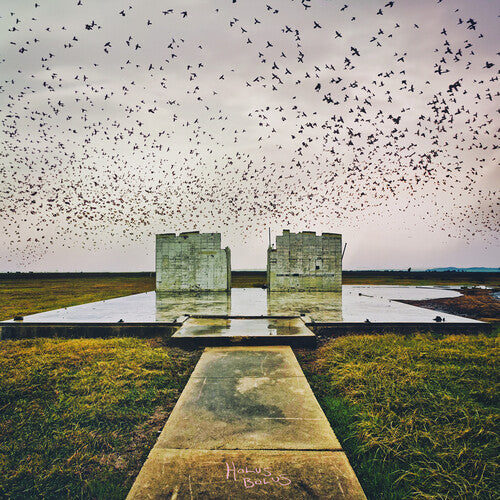 Holus Bolusby Lord Buffalo (Vinyl Record)