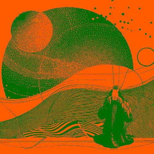 An Error Has Occurredby Janitors (Vinyl Record)