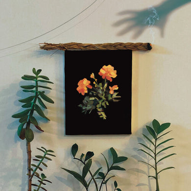 The Well I Fell Intoby Why (Vinyl Record)