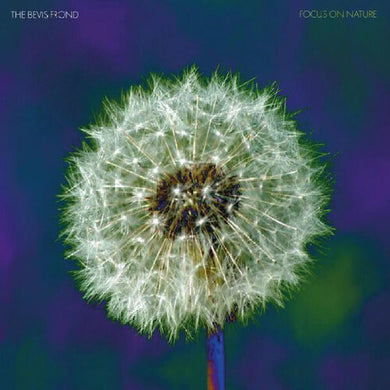Focus On Natureby Bevis Frond (Vinyl Record)