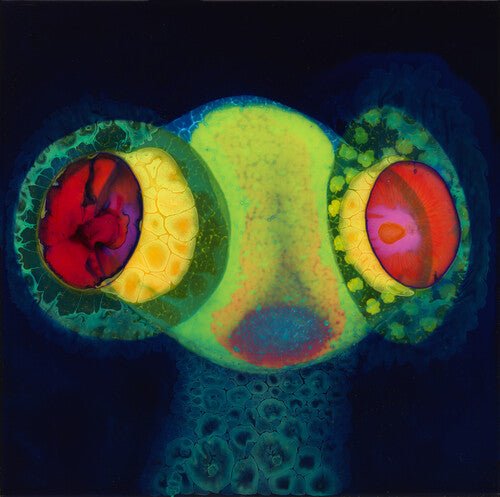 Sorcs 80by Osees (Vinyl Record)