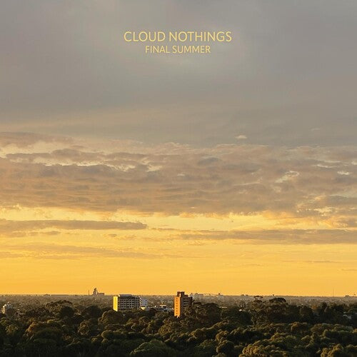 Final Summerby Cloud Nothings (Vinyl Record)