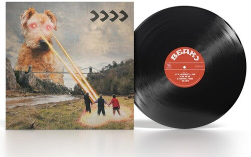 Beak IVby Beak (Vinyl Record)