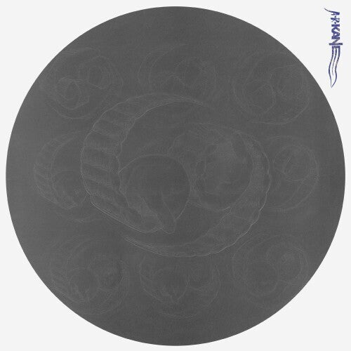 69by A.R. Kane (Vinyl Record)