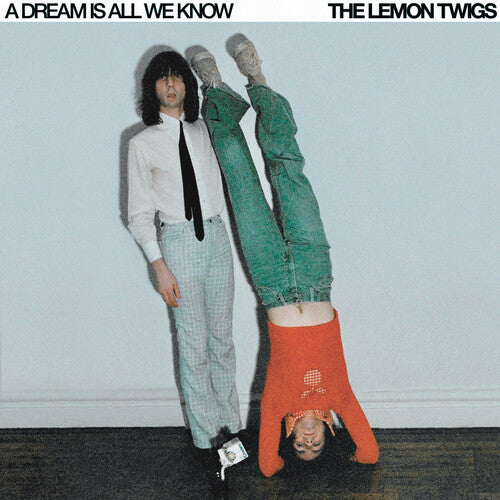 A Dream Is All We Knowby Lemon Twigs (Vinyl Record)