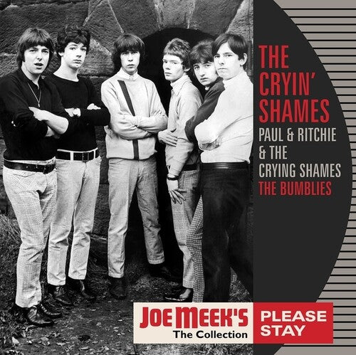 Please Stayby Cryin' Shames (Vinyl Record)