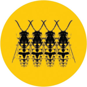 Wasp Nestby Velvet, Kristin (Vinyl Record)