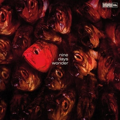 Nine Days Wonderby Nine Days Wonder (Vinyl Record)
