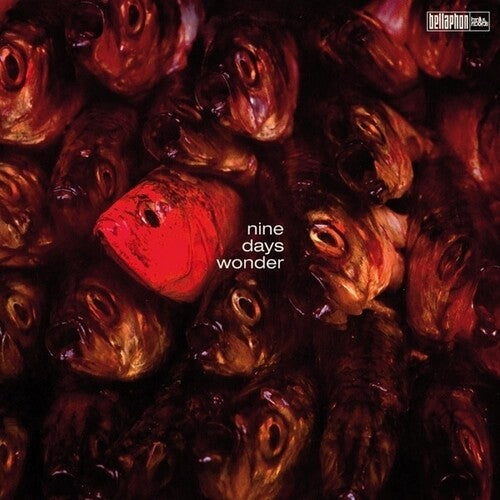 Nine Days Wonderby Nine Days Wonder (Vinyl Record)