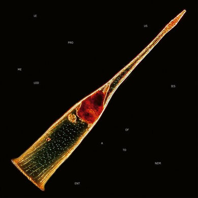 Melodies Of Atonementby Leprous (Vinyl Record)