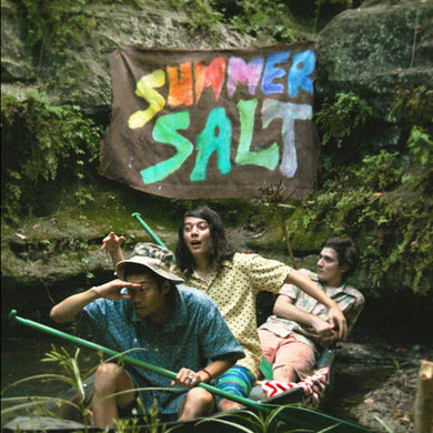 Driving to Hawaiiby Summer Salt (Vinyl Record)