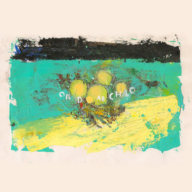 Eighteen Hours Of Staticby Big Ups (Vinyl Record)