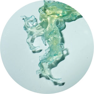 Invincible Natureby Altone (Vinyl Record)
