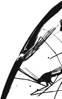 Exits - Redby Boxer Rebellion (Vinyl Record)