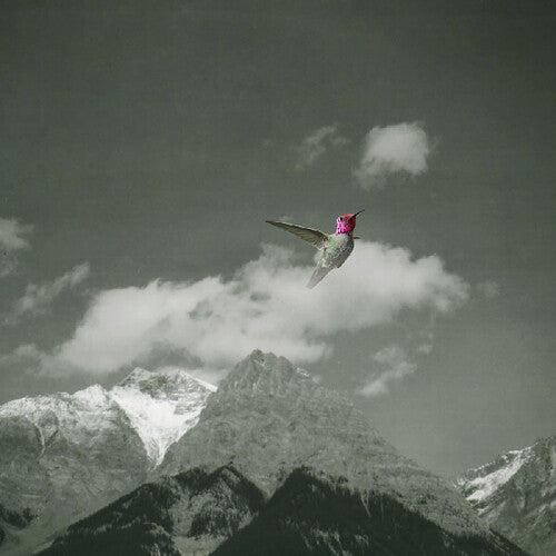 Melt Awayby Bardo Pond (Vinyl Record)