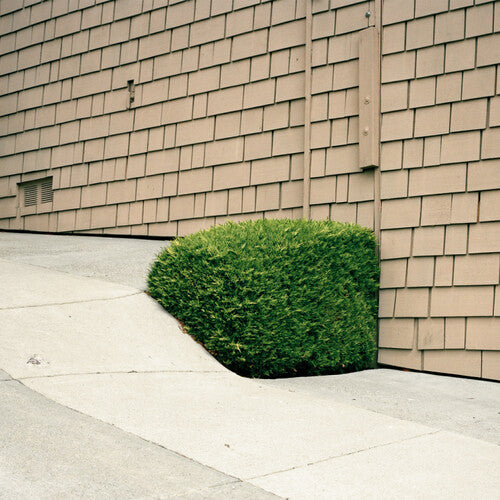 Soft Powerby Feinberg, Ezra (Vinyl Record)