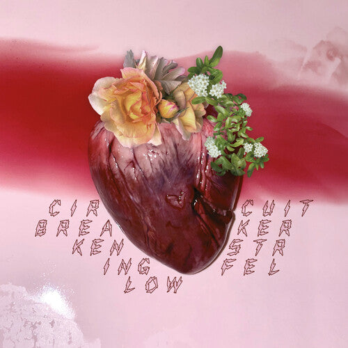 Circuit Breakerby Stringfellow, Ken (Vinyl Record)