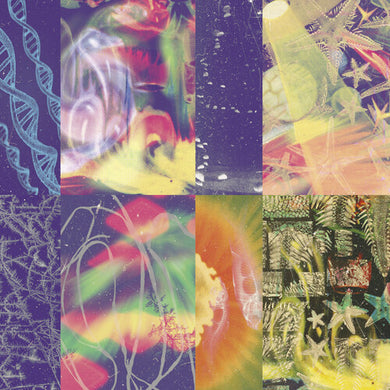 The Neon Gateby Nap Eyes (Vinyl Record)