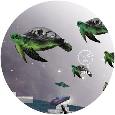 How to Wear Raybans Wellby Sasha (Vinyl Record)