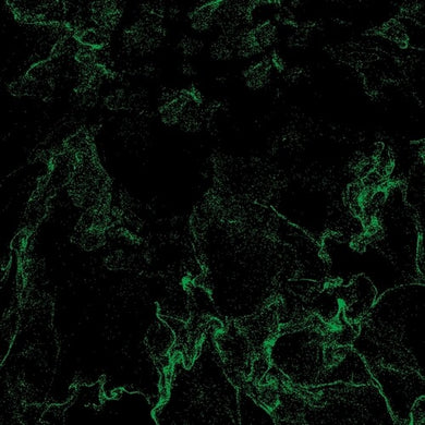 The Wellby So Sner (Vinyl Record)