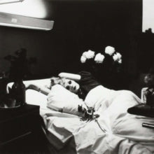 I Am A Bird Nowby Antony & the Johnsons (Vinyl Record)