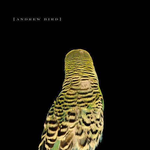 Bird, Andrew: Armchair Apocrypha (Vinyl LP)