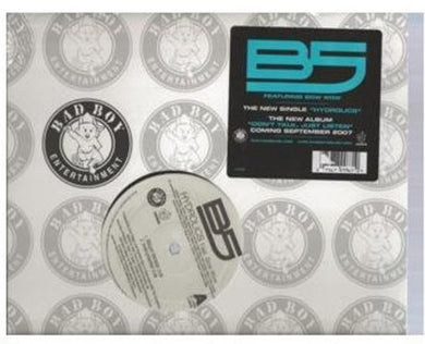 B5: Hydrolics (12-Inch Single)