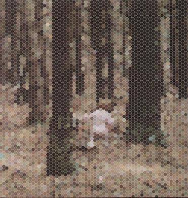 Principles of Geometry: Mountain for President (12-Inch Single)