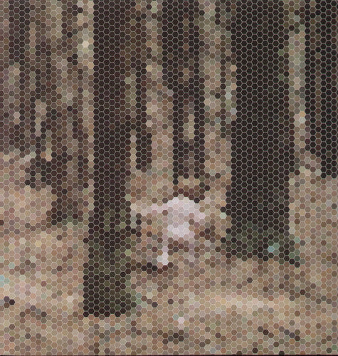 Principles of Geometry: Mountain for President (12-Inch Single)