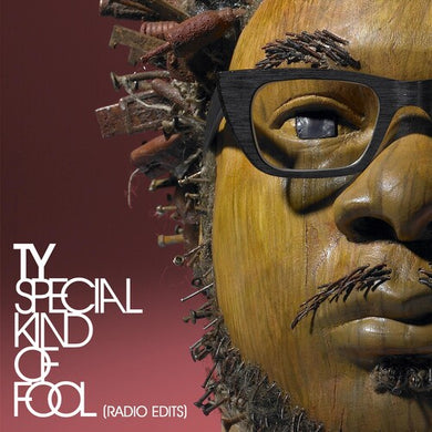 Ty: Special Kind of Fool (Vinyl LP)